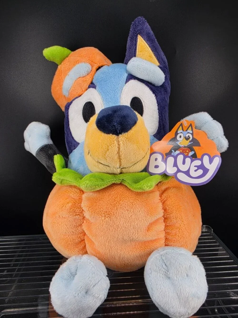 Bluey Halloween Plush Pumpkin Costume 12